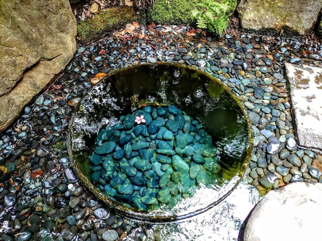 明治神宫 2