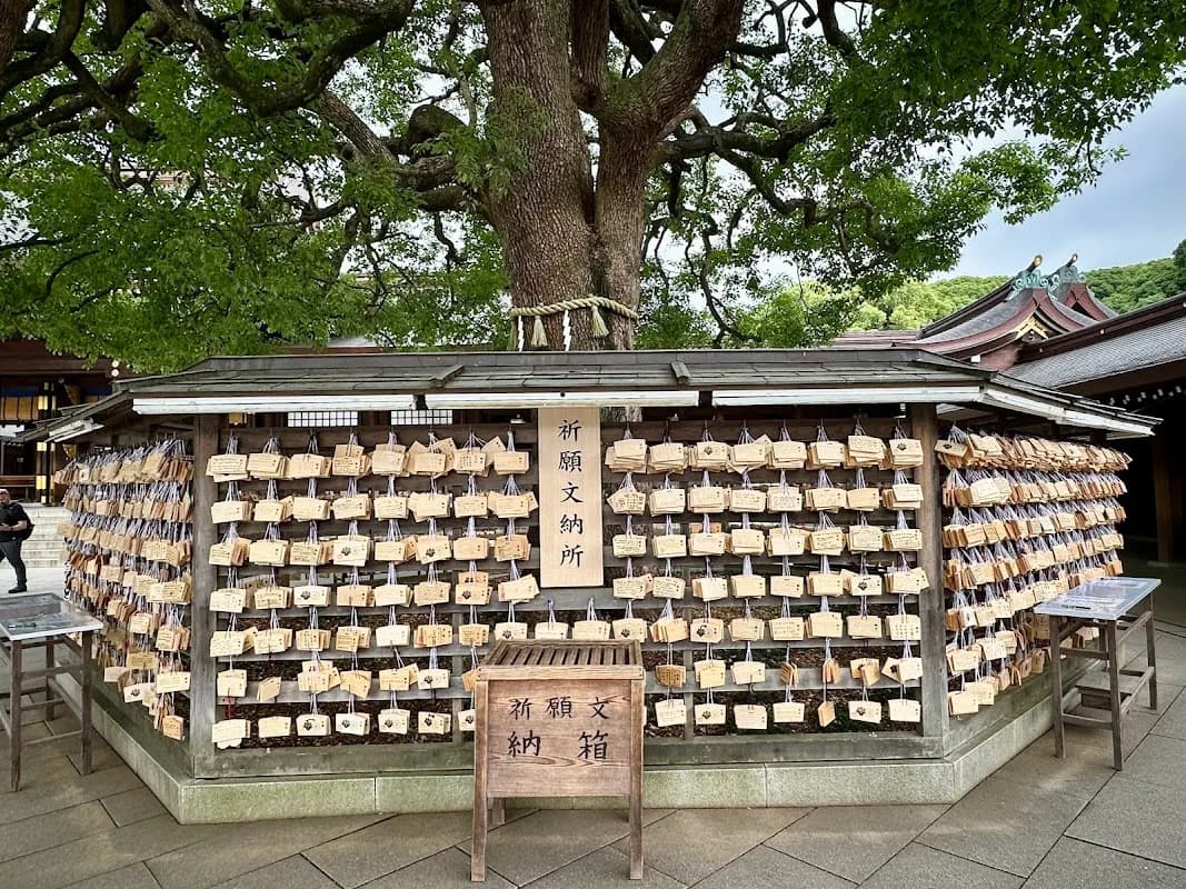 明治神宫 5