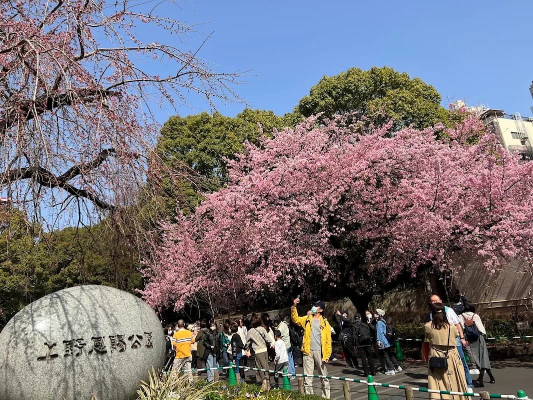 上野公园 3