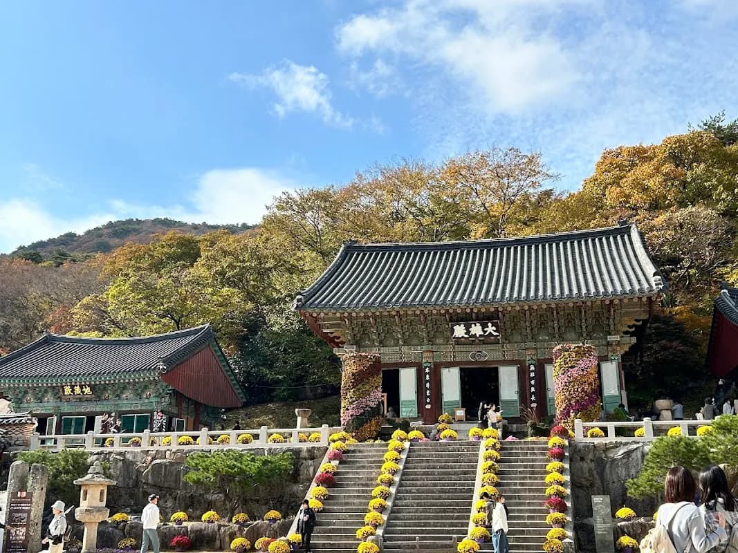 釜山深度游：4天海岸探险 16