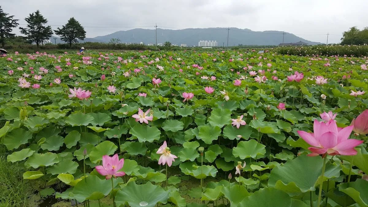 동궁과 월지 (안압지) 5