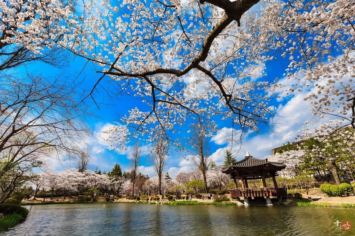 경주 신라 유산: 벽 없는 박물관 3일 3