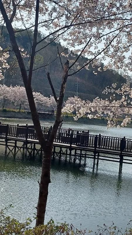 庆州普门旅游区 2