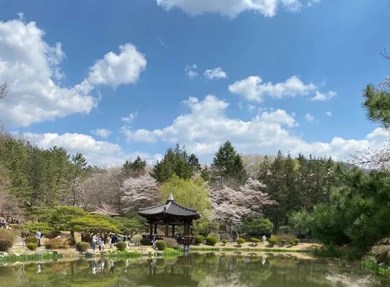 庆州普门旅游区 3