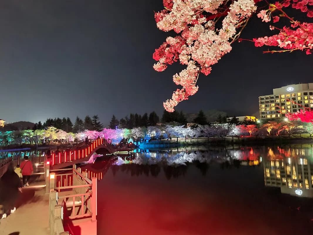 庆州普门旅游区 4