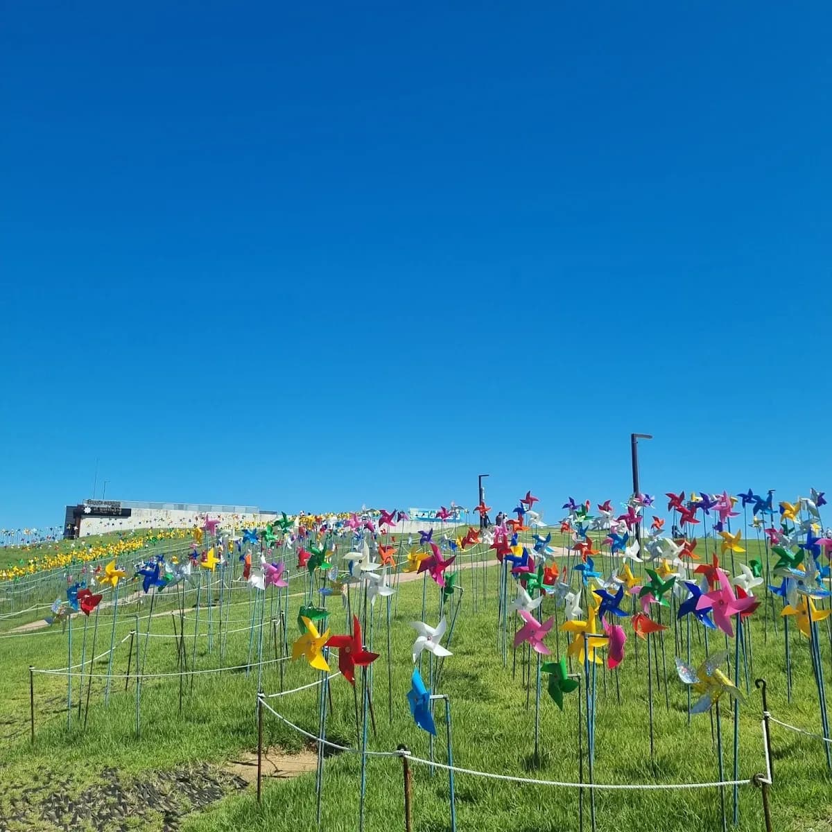 Imjingak Peace Park 4