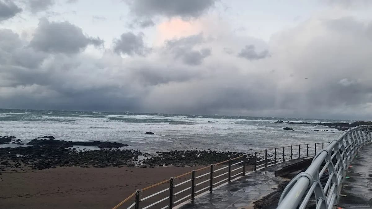 济州偶来小路 3