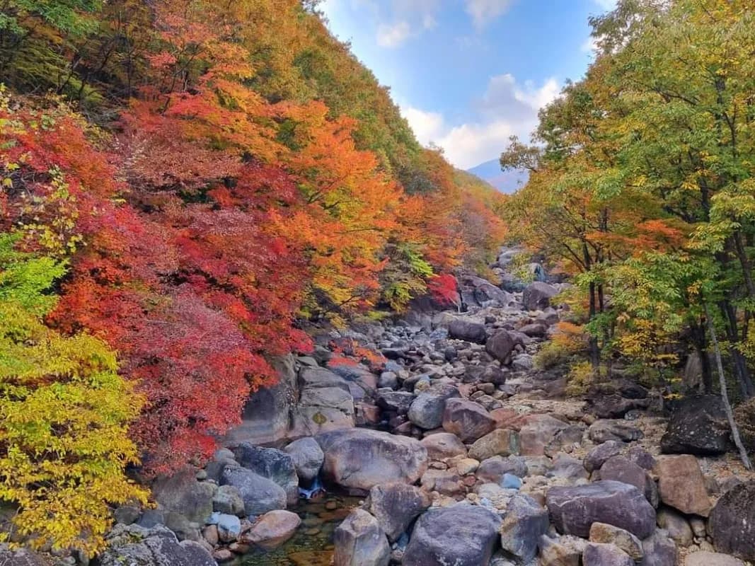 智异山国立公园 5