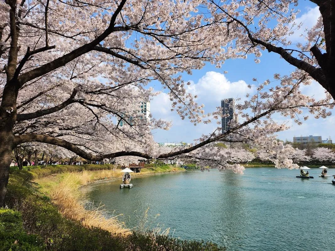 石村湖水公園 1