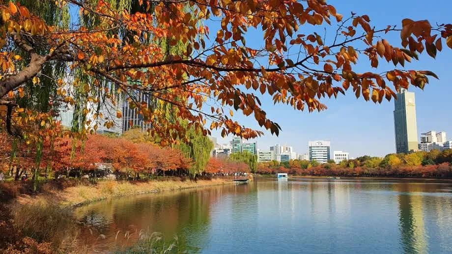 石村湖水公園 5