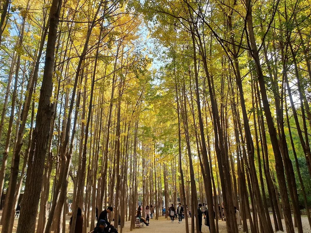 Seoul Forest