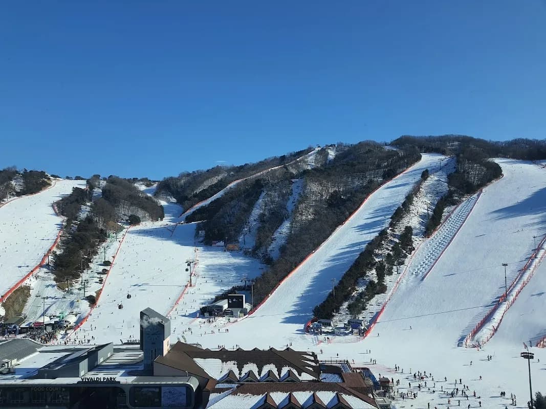 소노벨 비발디파크 5