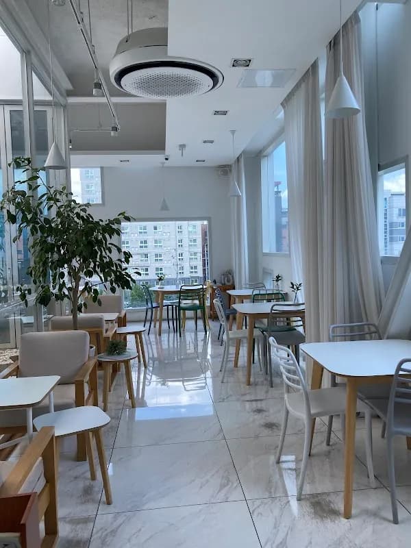 신사동 디자이너 카페 3