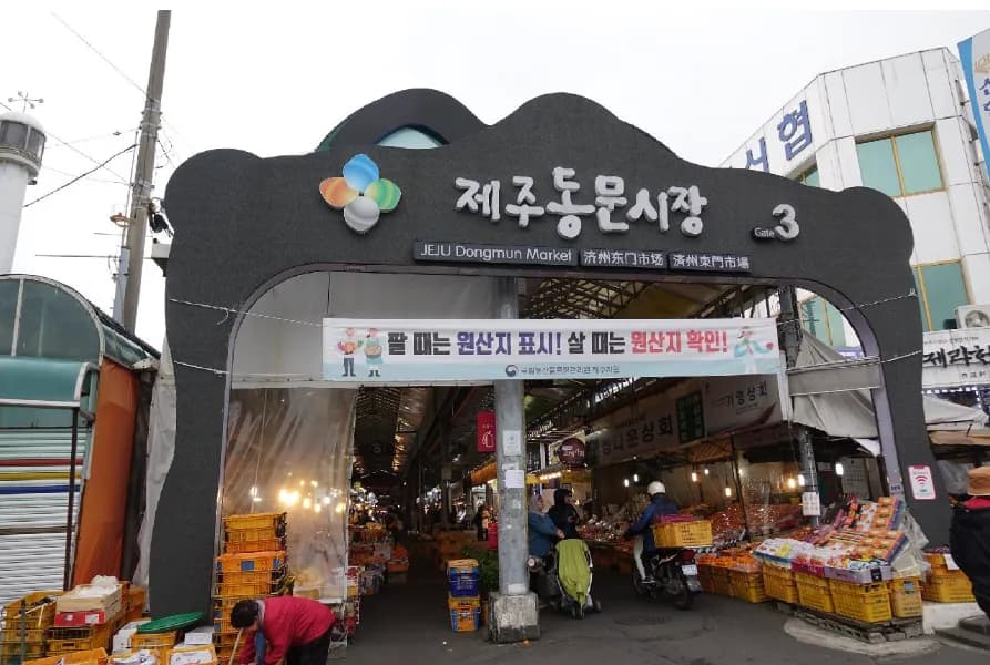 済州島エッセンシャル：3日間ハイライト 4