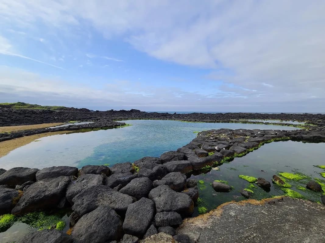 Haenyeo Seafood Experience 1
