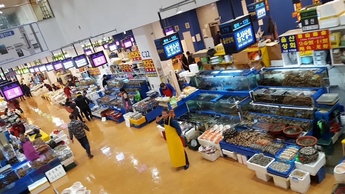 鹭梁津水产市场 4