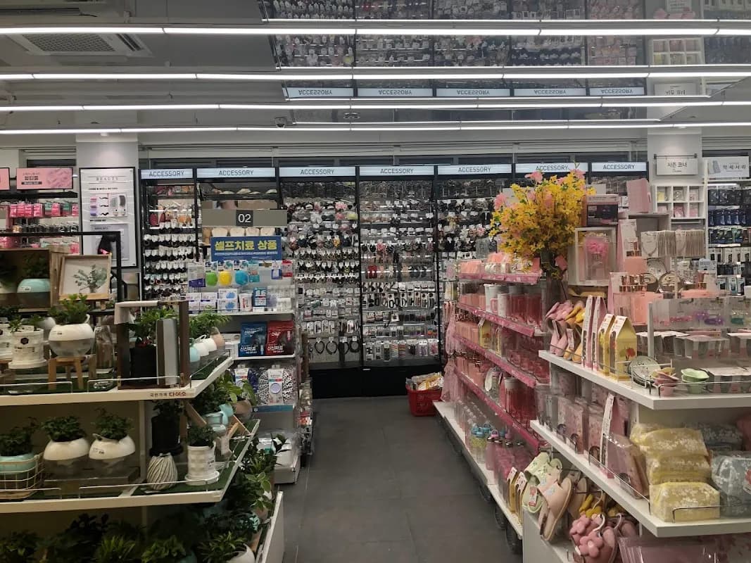 Daiso Hongik University 2 4