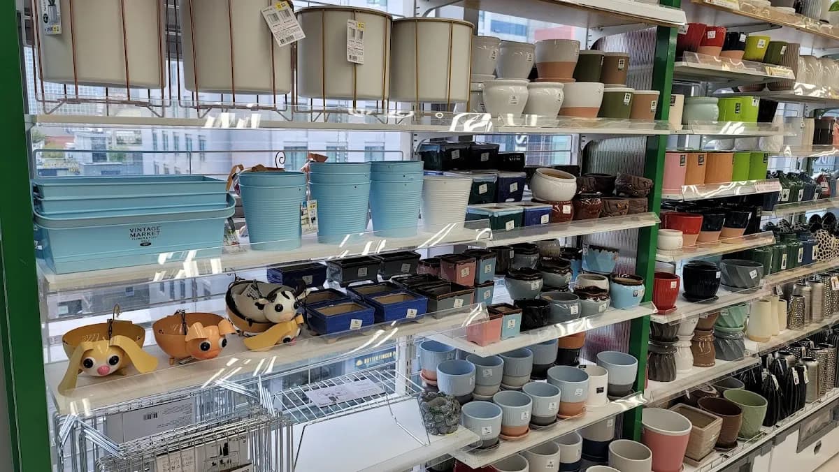 다이소 명동역점 3