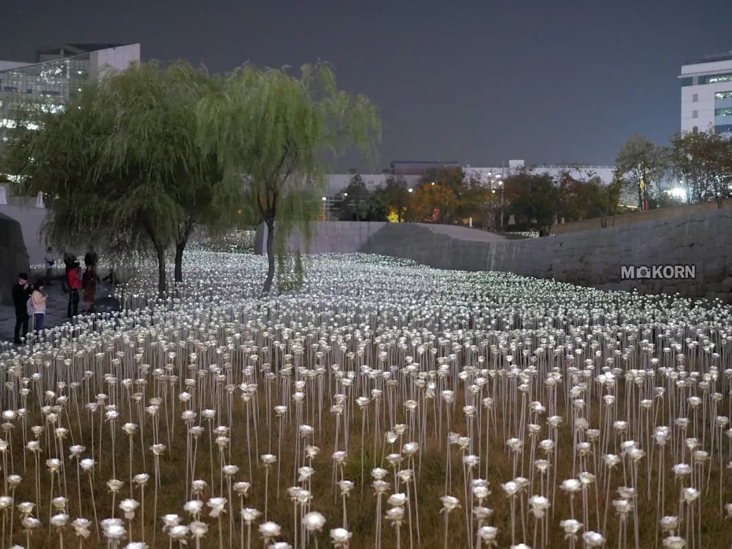 Dongdaemun Design Plaza (DDP) 3