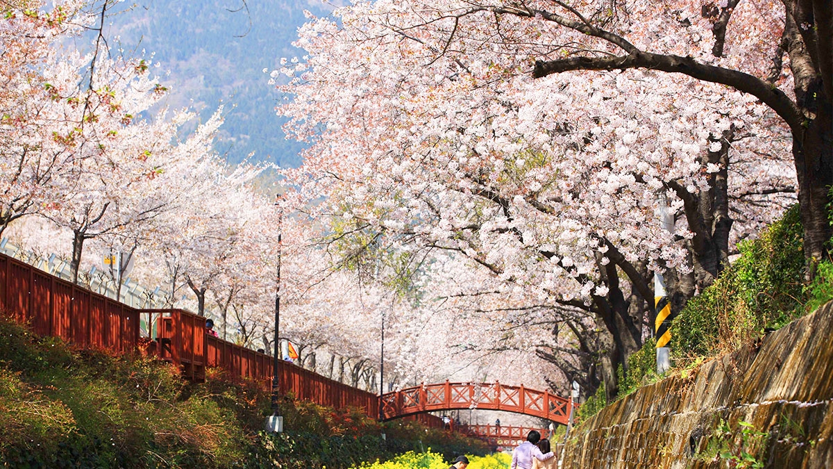 桜の名所