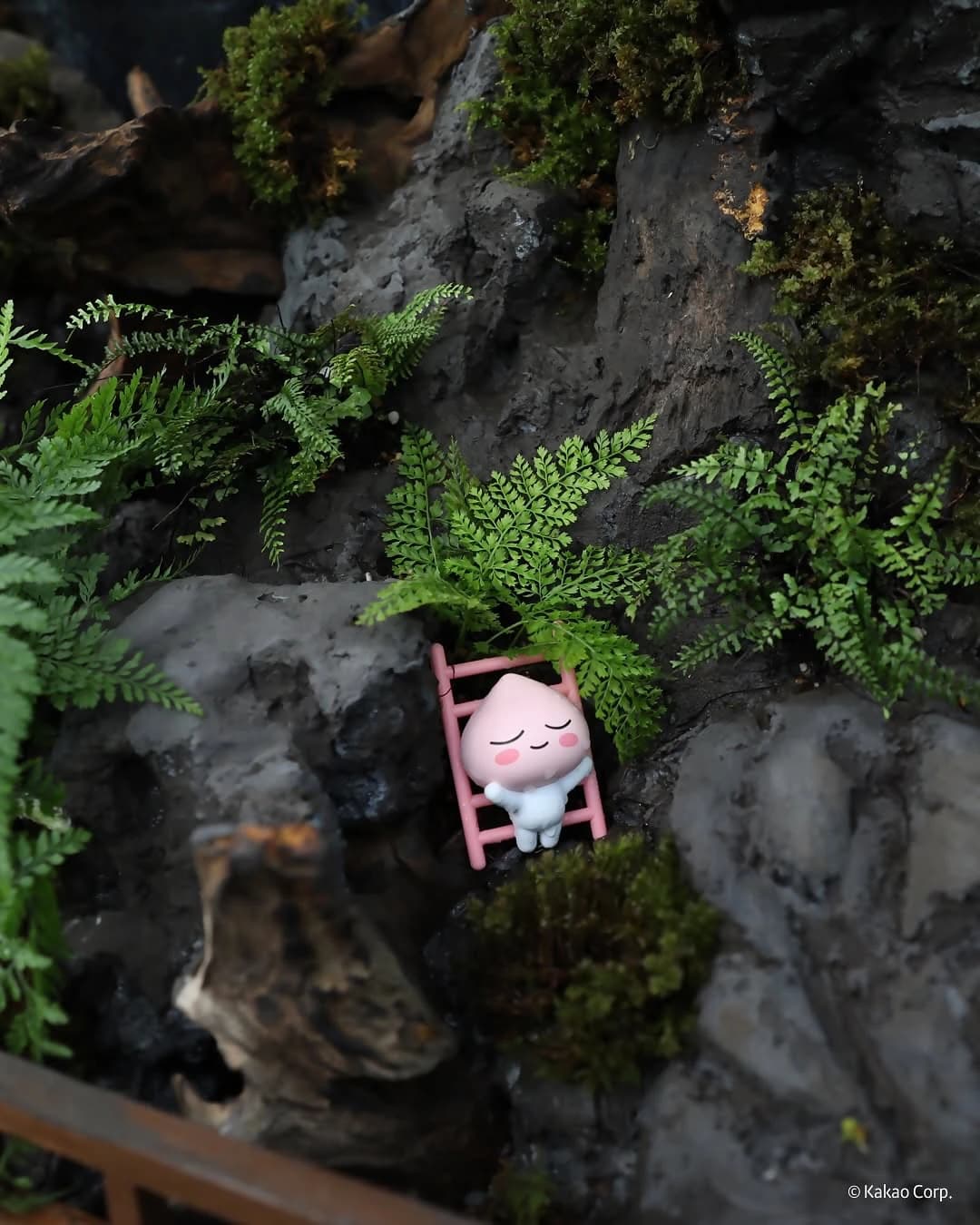 National Sejong Arboretum x Kakao Friends: Sejong Special Exhibition 11