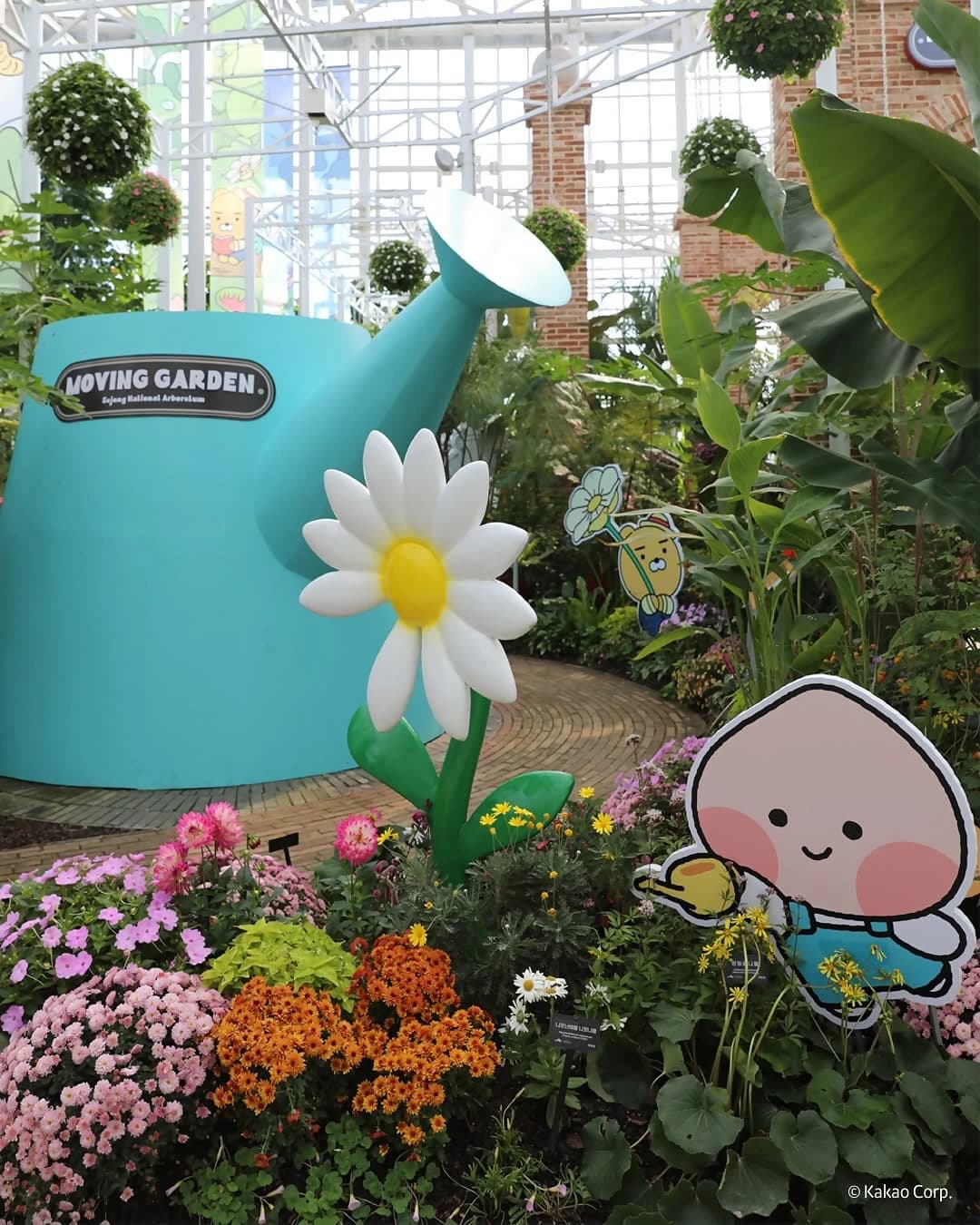 National Sejong Arboretum x Kakao Friends: Sejong Special Exhibition 6