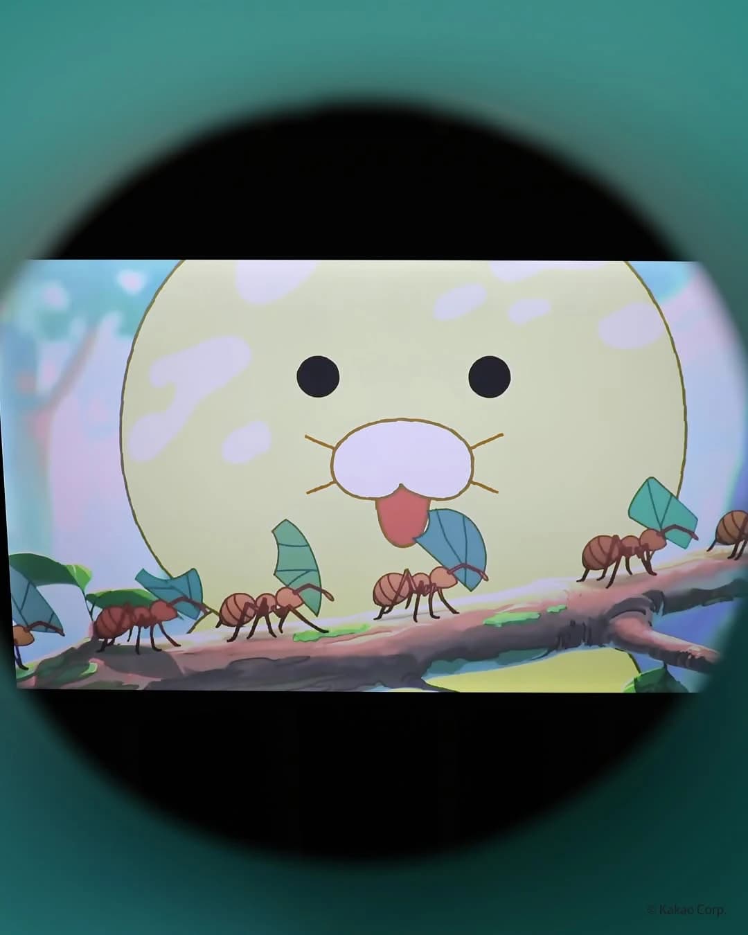 National Sejong Arboretum x Kakao Friends: Sejong Special Exhibition 8