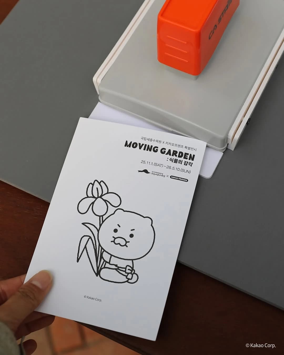 National Sejong Arboretum x Kakao Friends: Sejong Special Exhibition 10