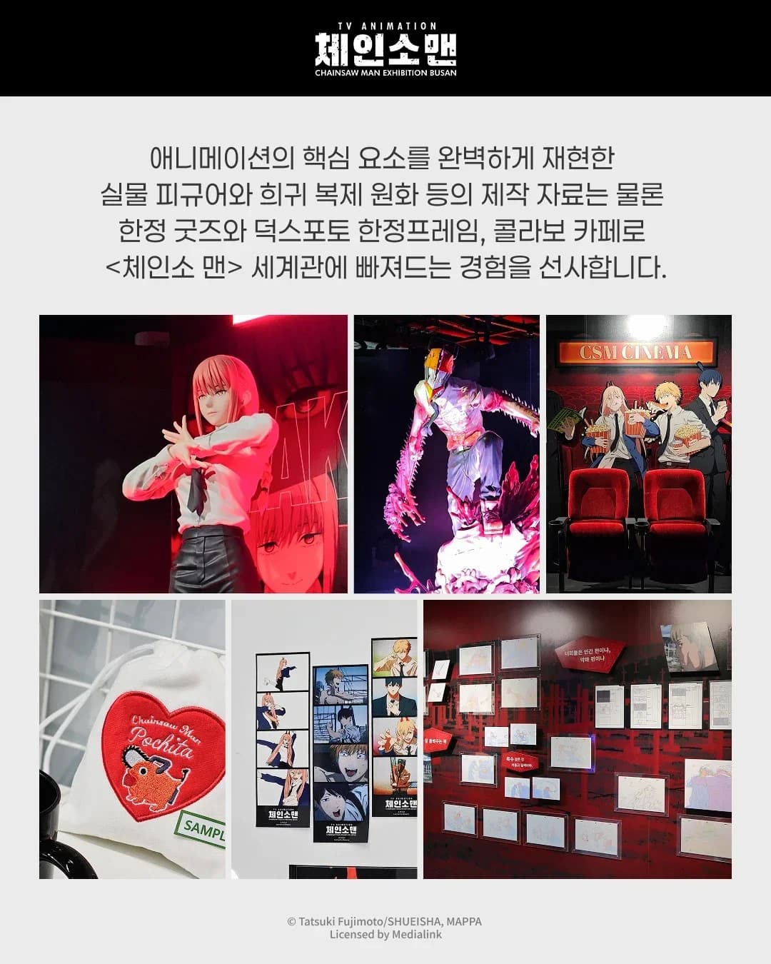 Chainsaw Man Exhibition - Busan 5