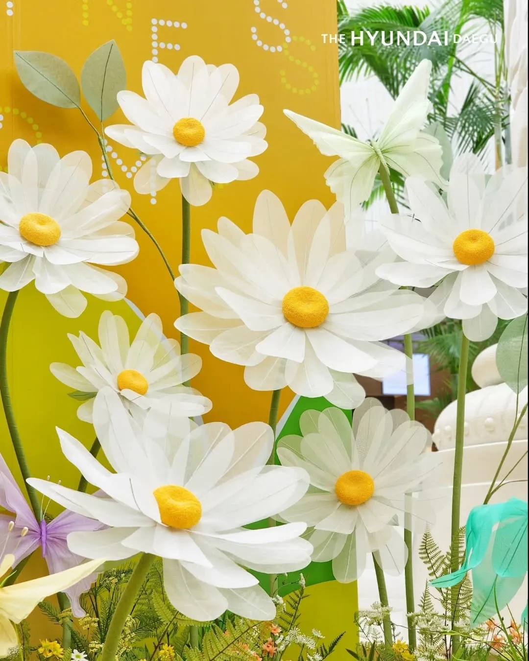 The Hyundai Daegu Four-Cut Photo Booth Event 3