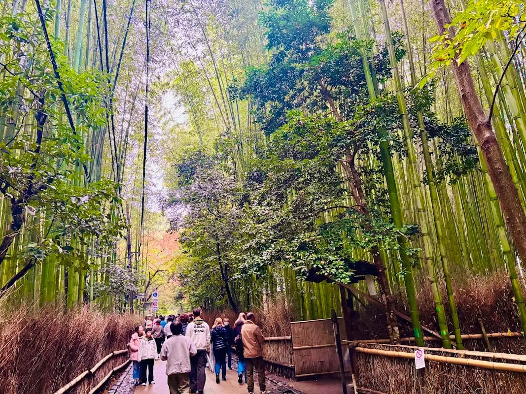 Arashiyama Bamboo Forest 2