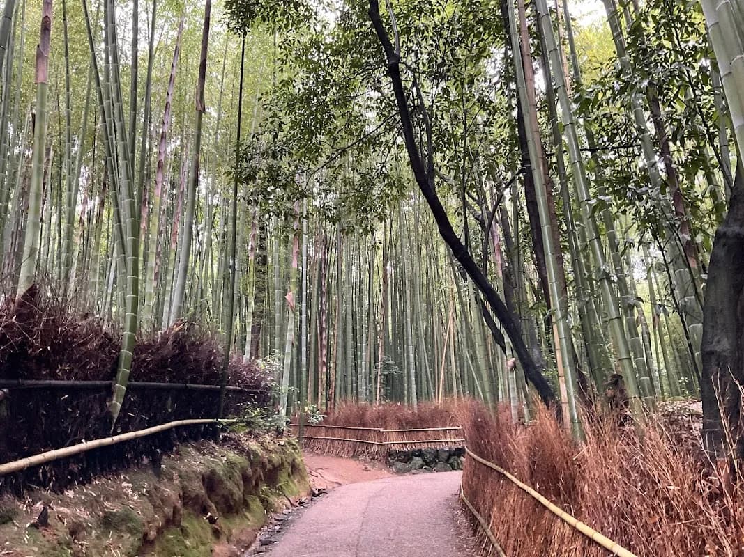 Arashiyama Bamboo Forest 3