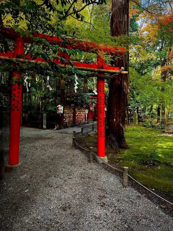 Arashiyama Bamboo Forest 5