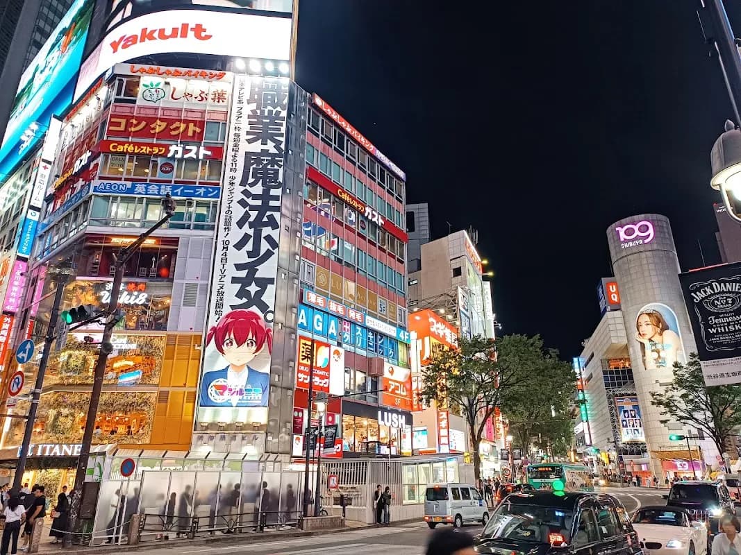 Essential Tokyo First-Timer 2N3D Itinerary 7
