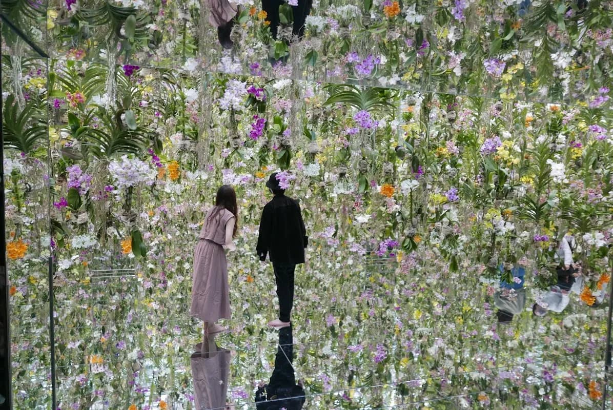 teamLab Planets TOKYO DMM 1