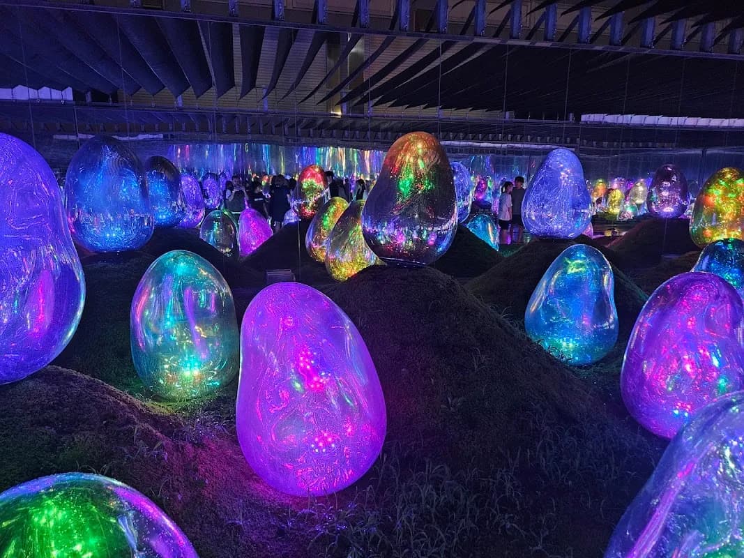 teamLab Planets TOKYO DMM 4