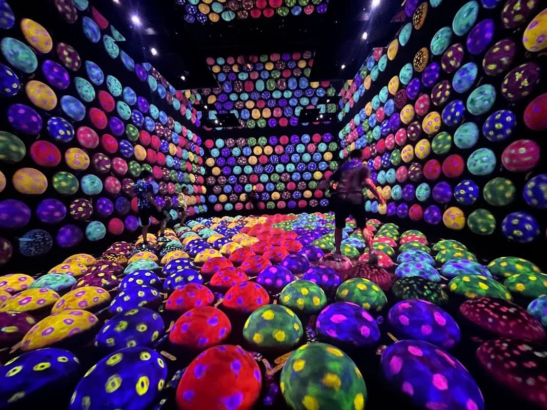 teamLab Planets TOKYO DMM 5
