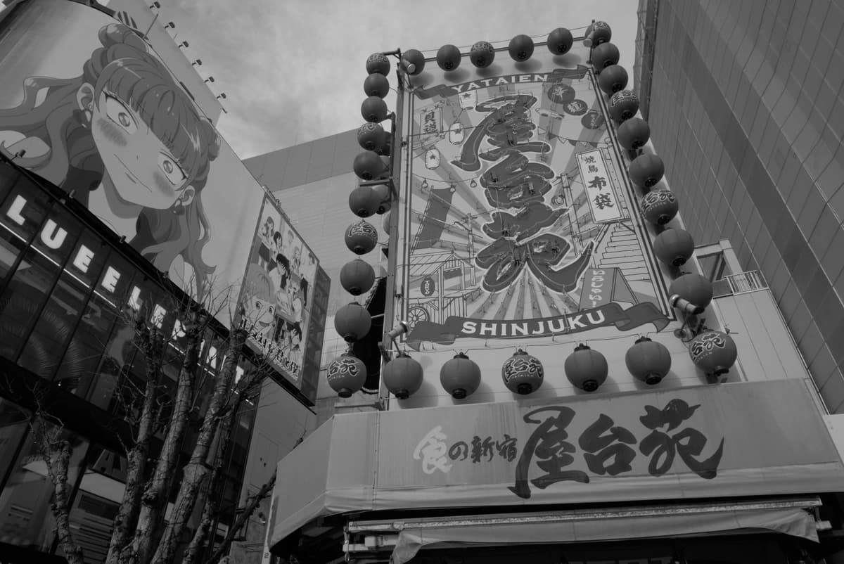 Tokyo Shibuya & Shinjuku Pop Culture Day Trip 5