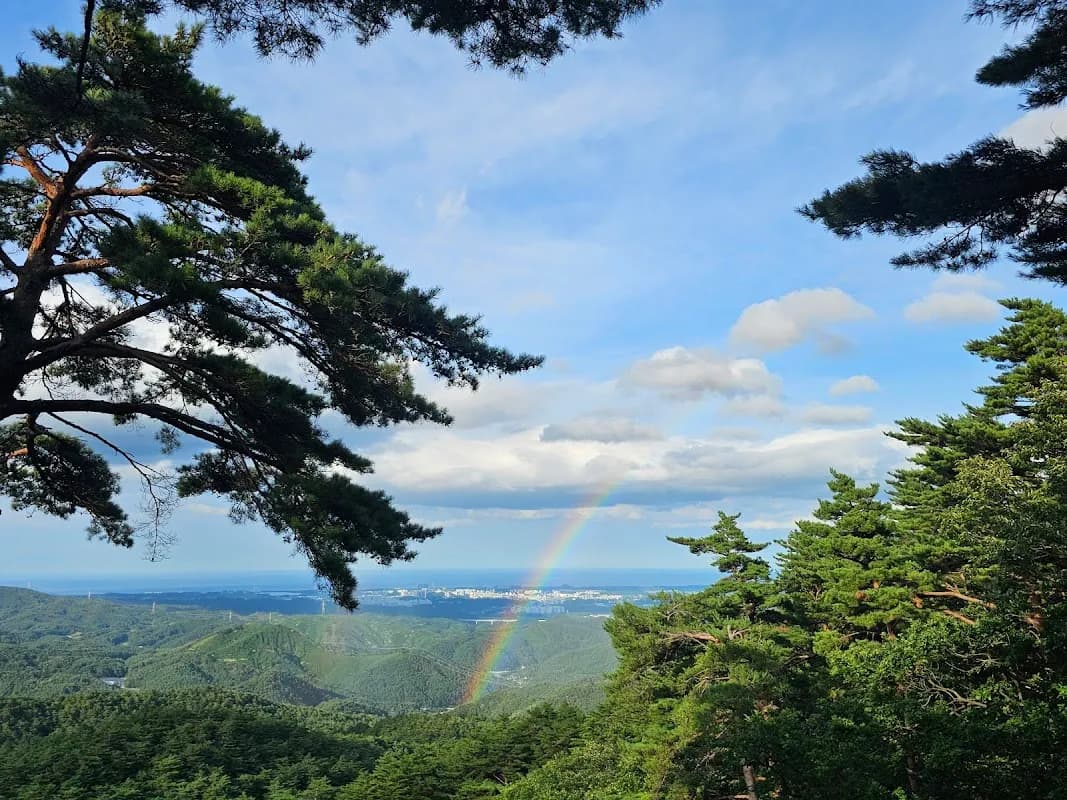 Daegwallyeong Natural Recreation Forest 3