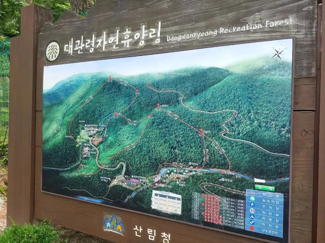 Daegwallyeong Natural Recreation Forest 5