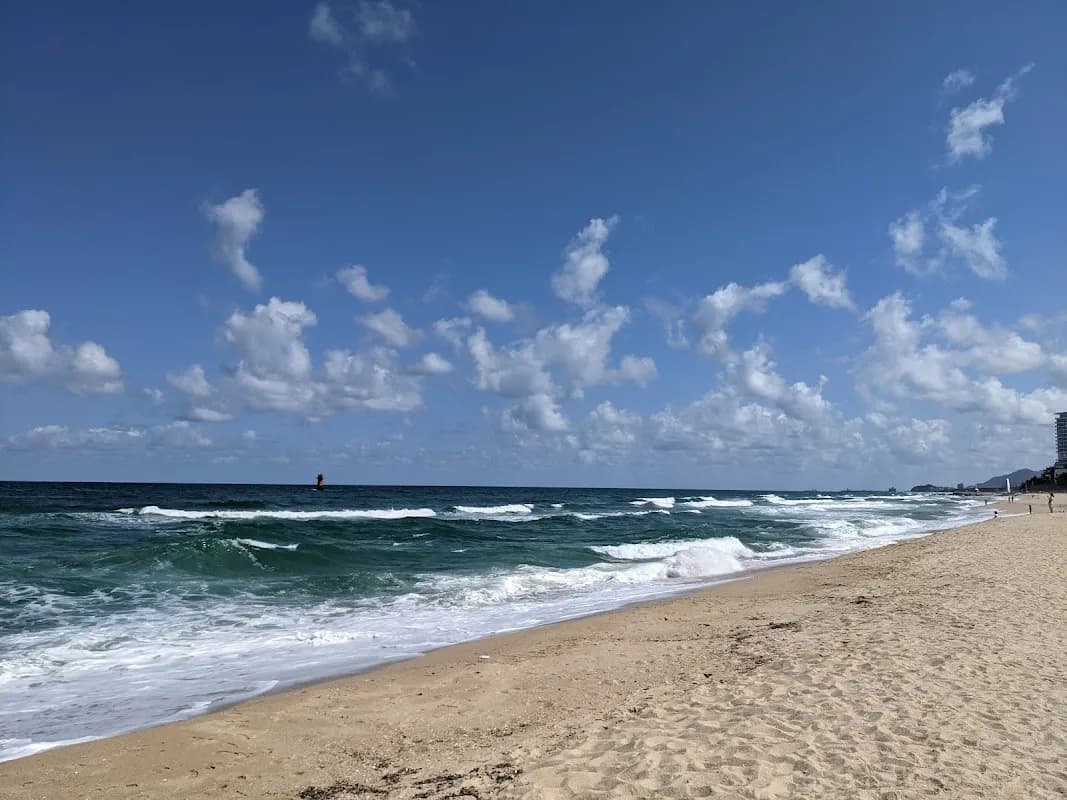 Seoul to Gangneung East Coast Adventure