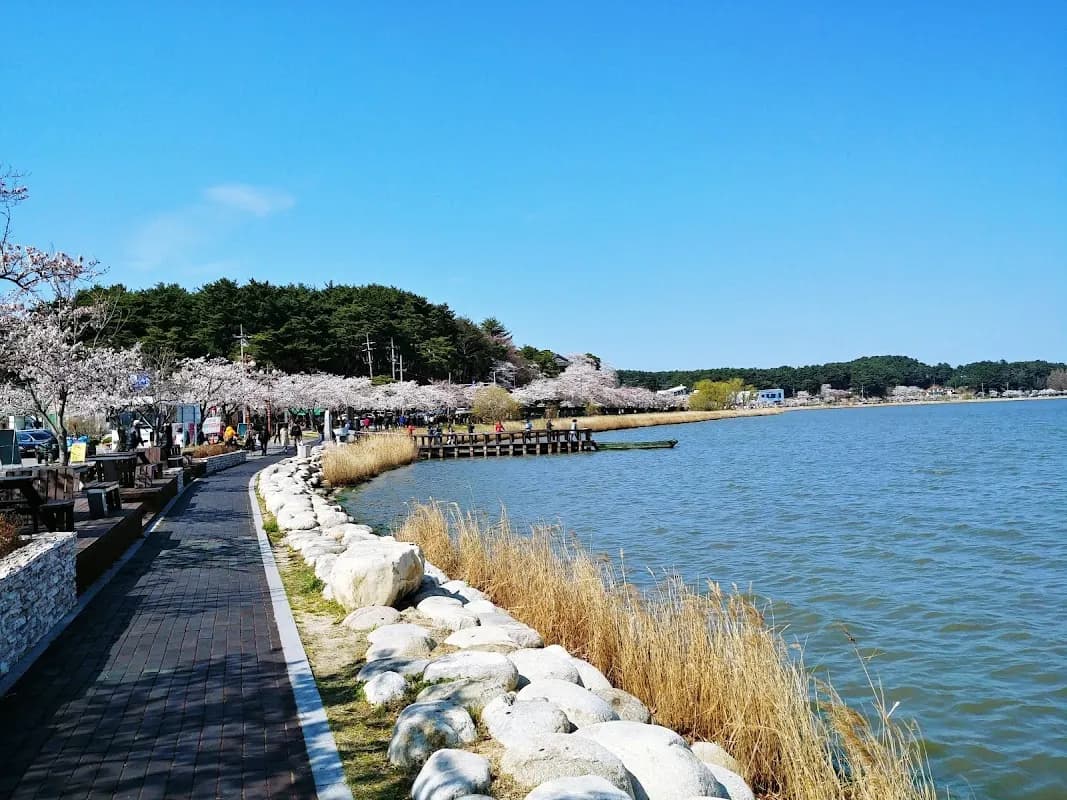 Gyeongpo Lake