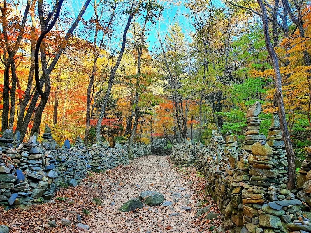 노추산 모정탑길 1