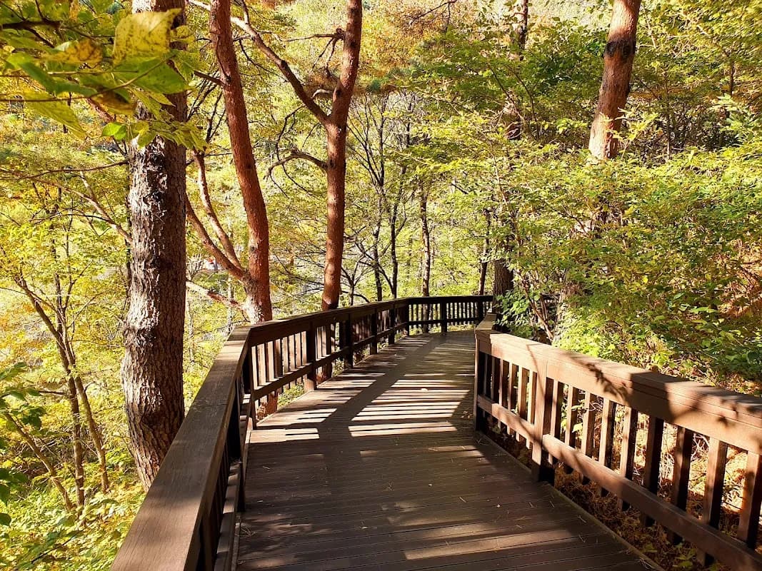 Gangneung Solhyang Arboretum 1