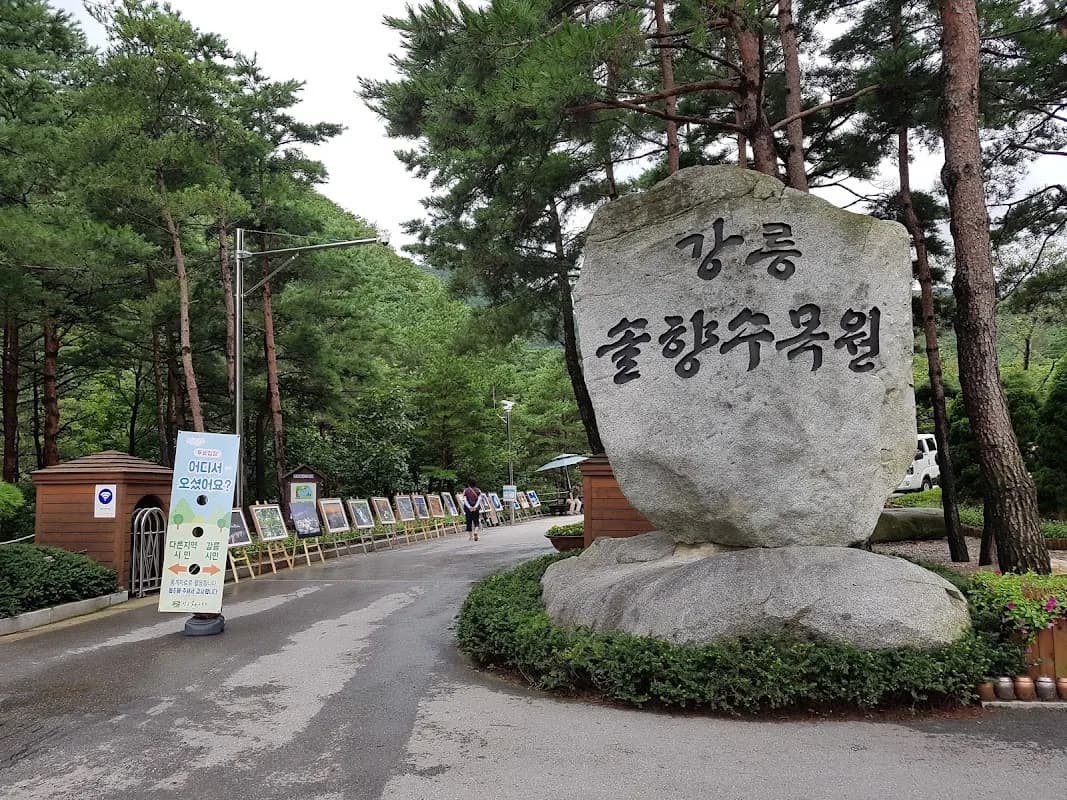Gangneung Solhyang Arboretum 2