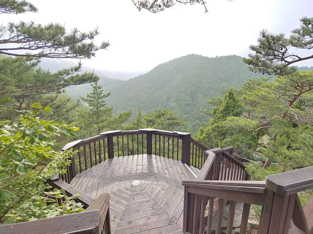 Gangneung Solhyang Arboretum 3