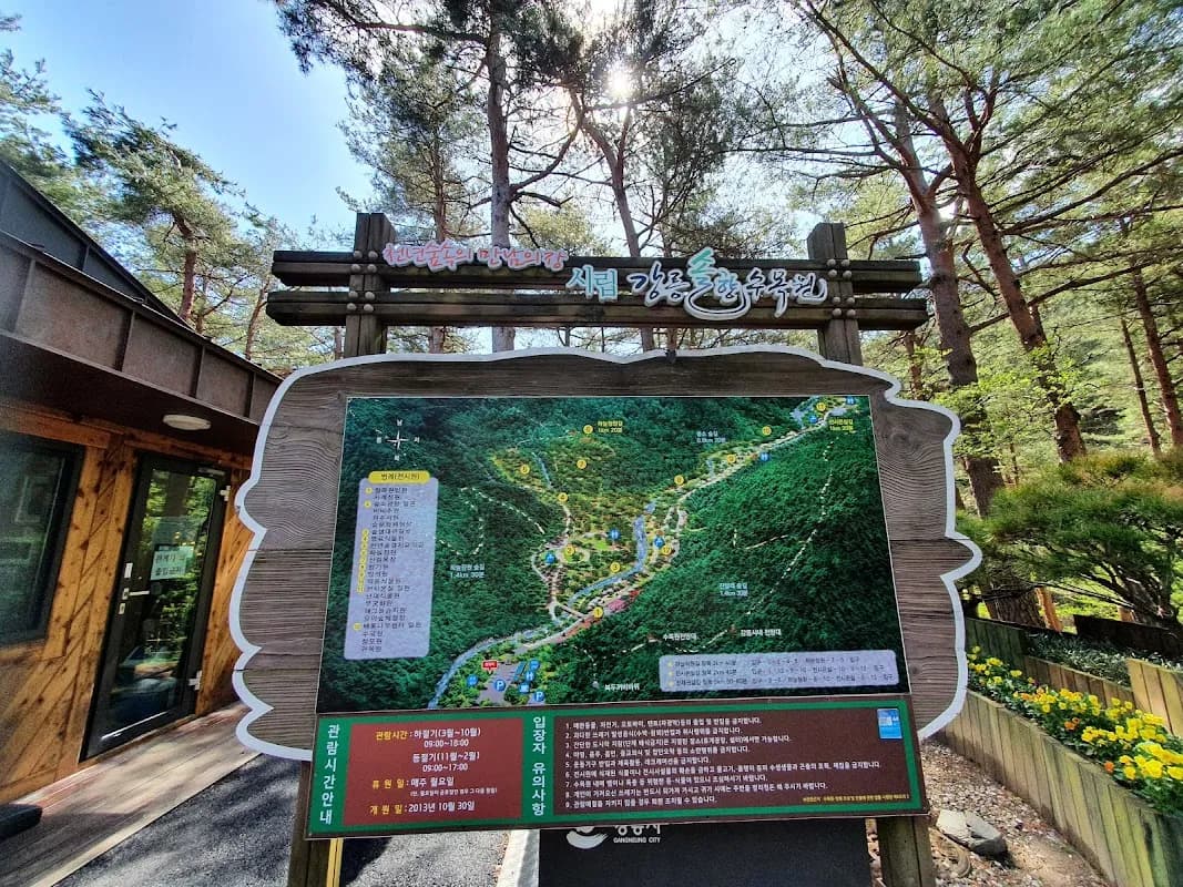 Gangneung Solhyang Arboretum 4