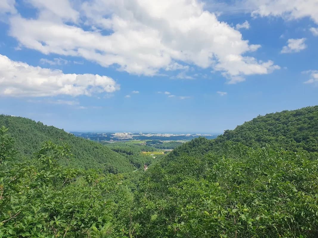 Gangneung Solhyang Arboretum 5