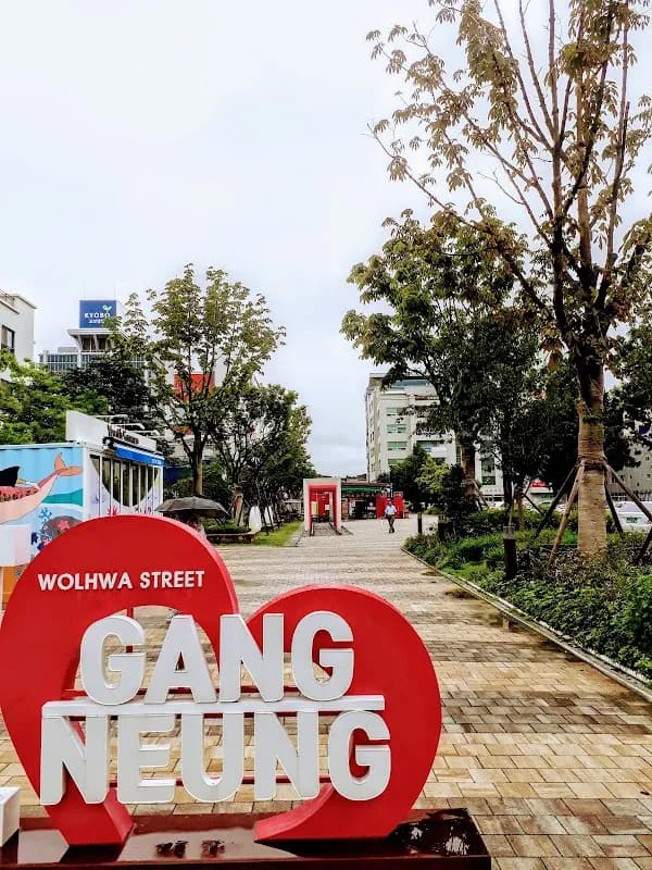 江陵月華通り 3