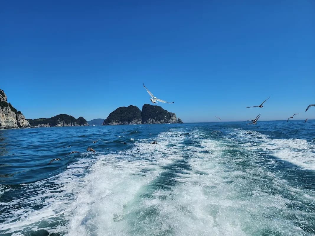 Busan to Geoje & Tongyeong Coastal Tour 5